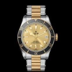 Tudor Black Bay S&G Discount