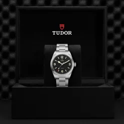 Tudor Ranger Online